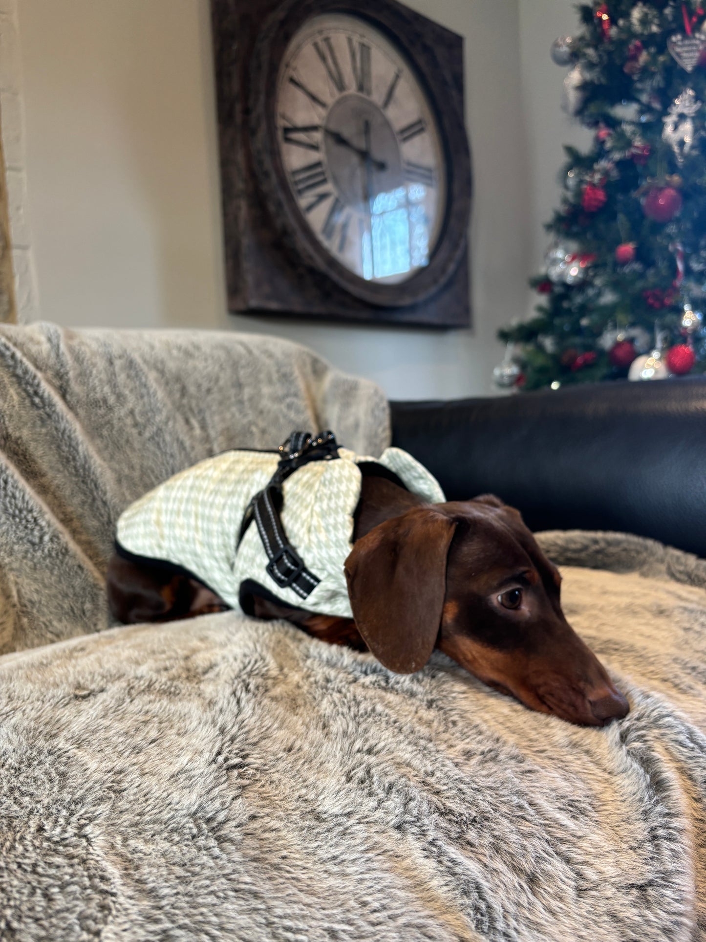 Sage Houndstooth Harness Coat