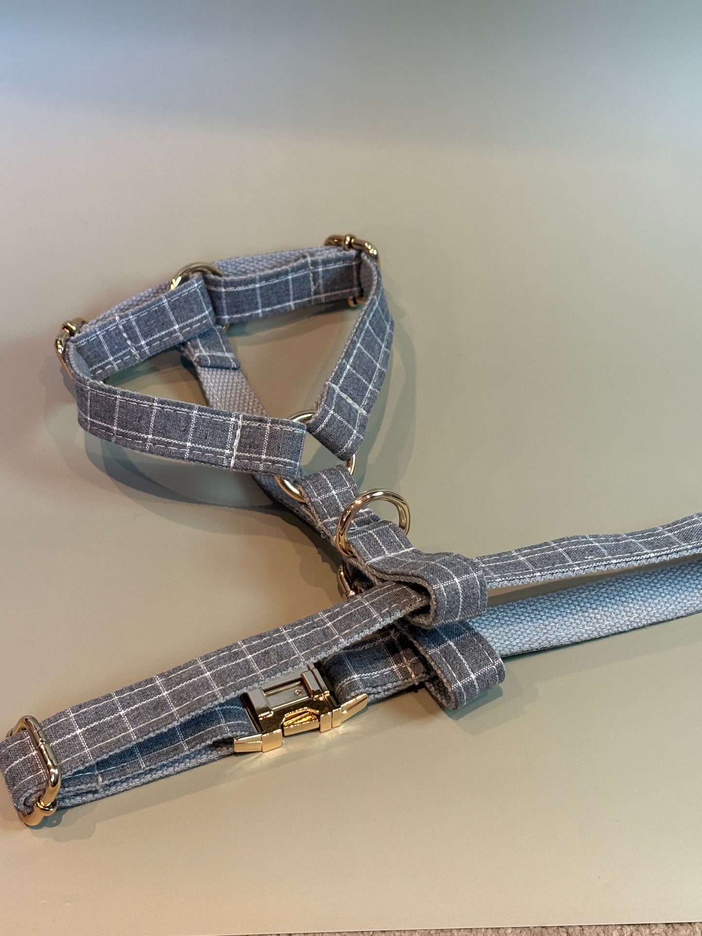 Chequered Harness