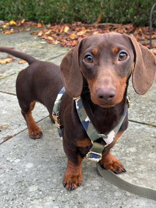 Camouflage Harness