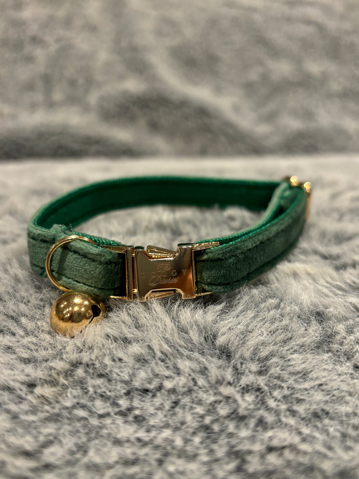 Puppy Velvet Collar