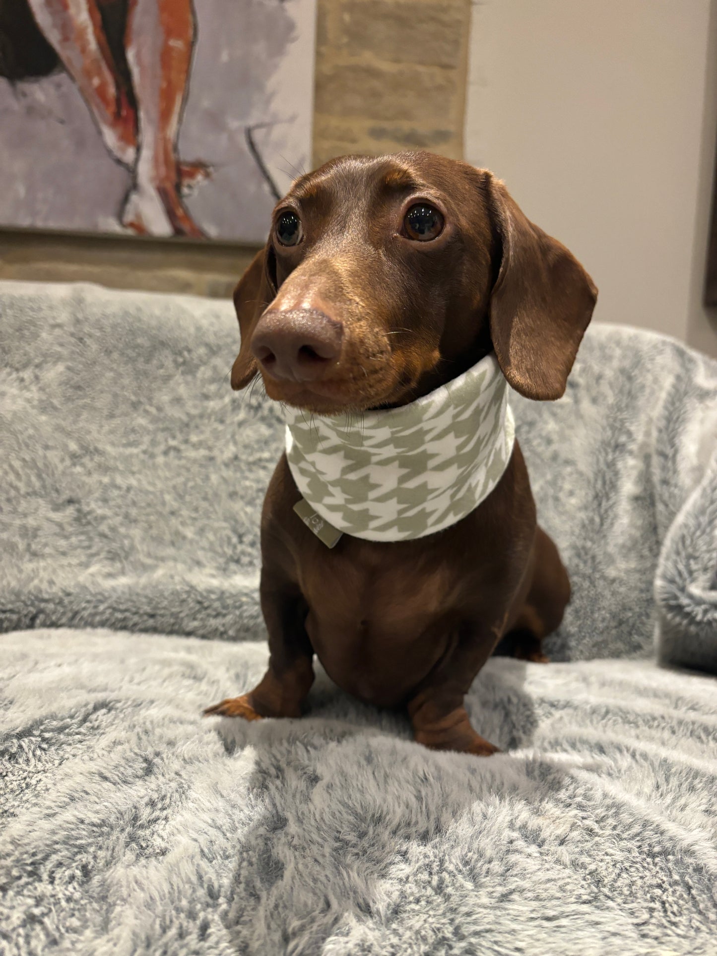 Sage Houndstooth Fleece Snood