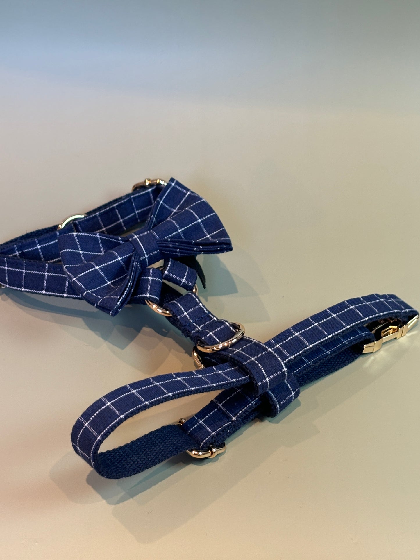 Chequered Harness