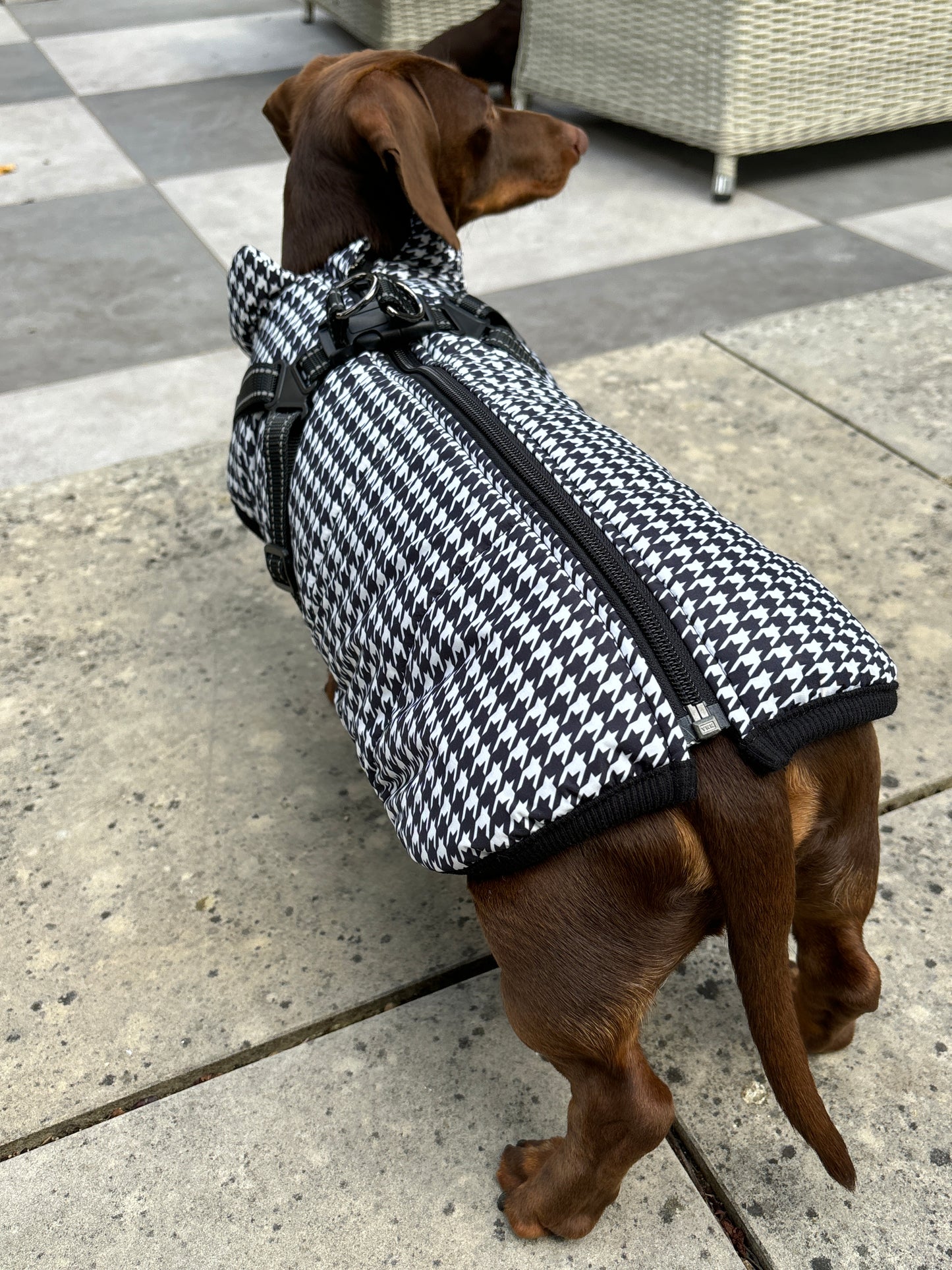 Black and White Houndstooth Harness Coat