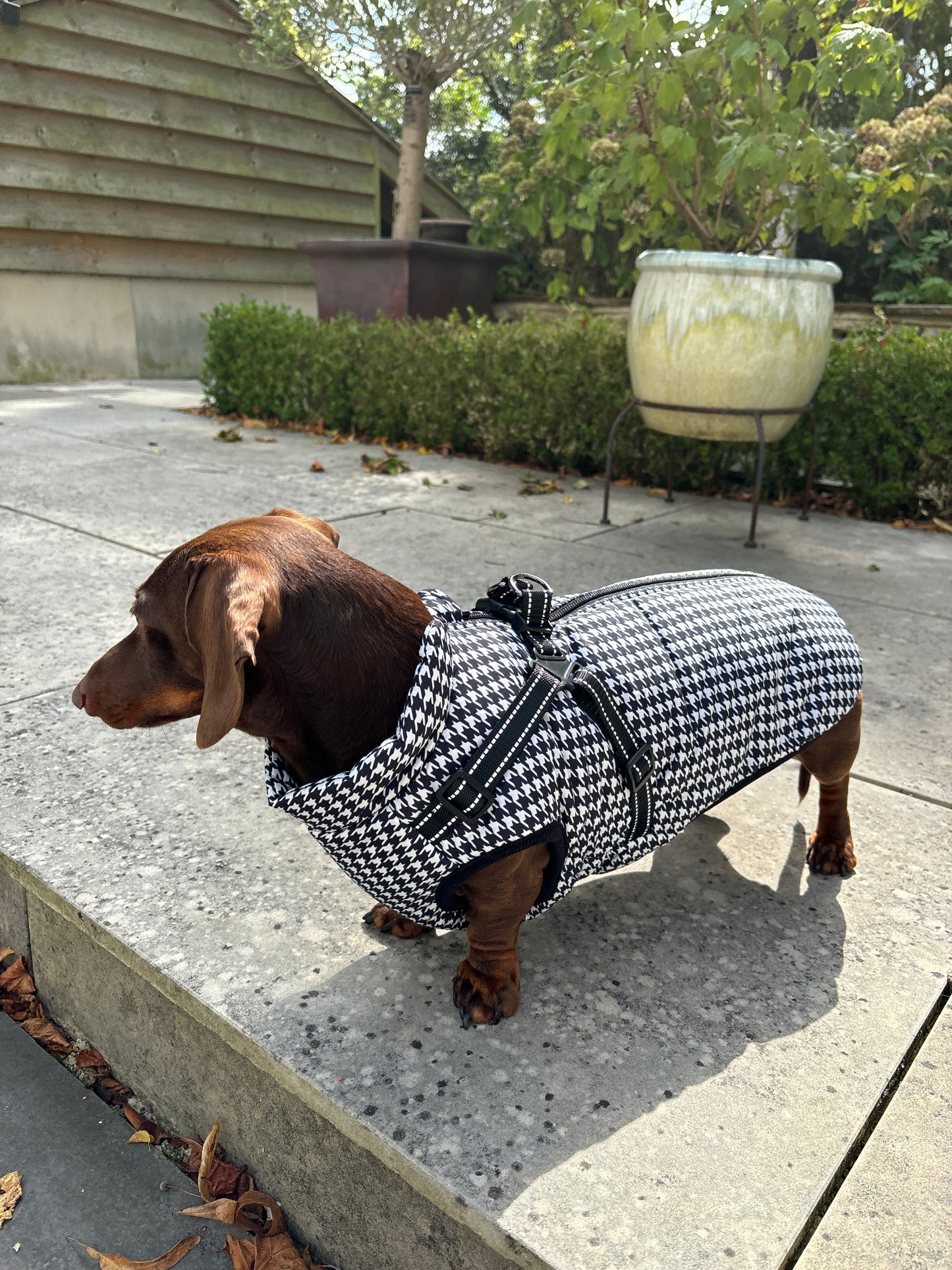 Black and White Houndstooth Harness Coat