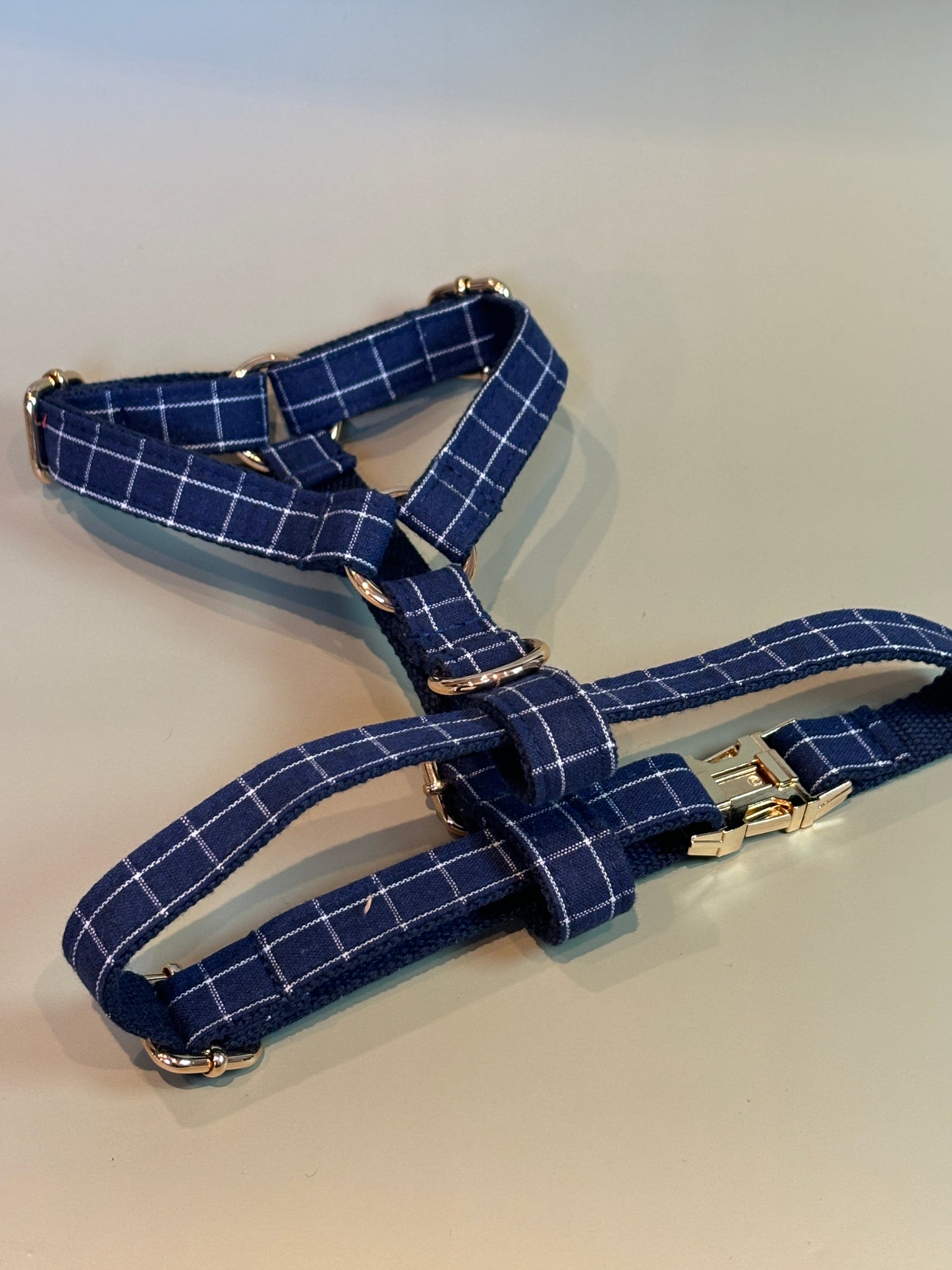 Chequered Harness