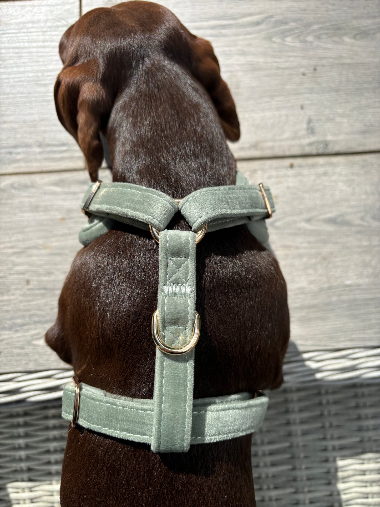 Quilted Velvet Harness