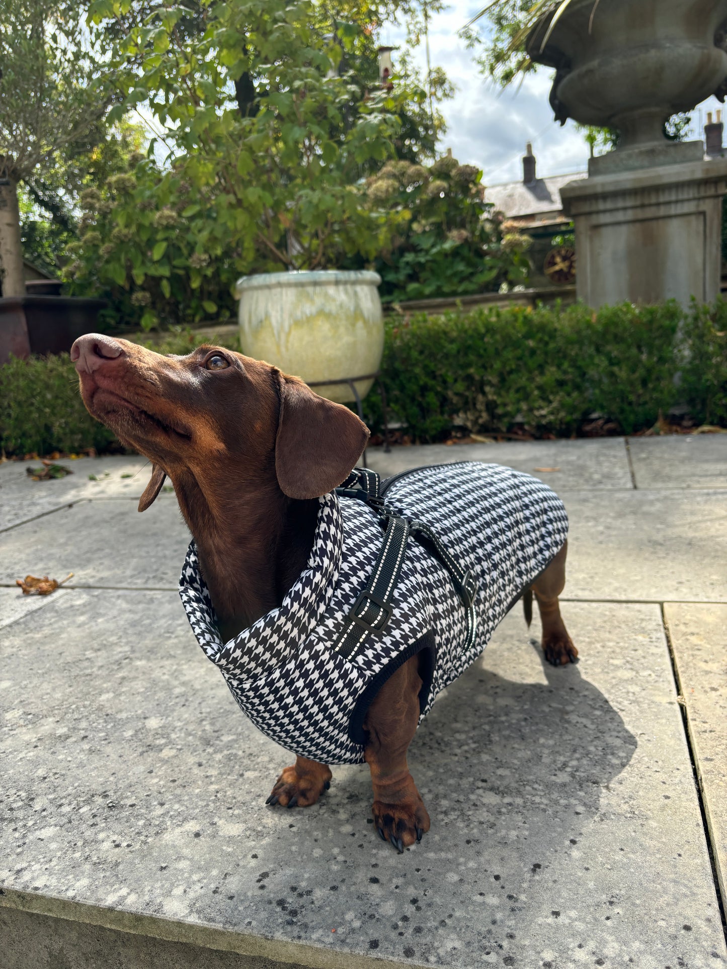 Black and White Houndstooth Harness Coat