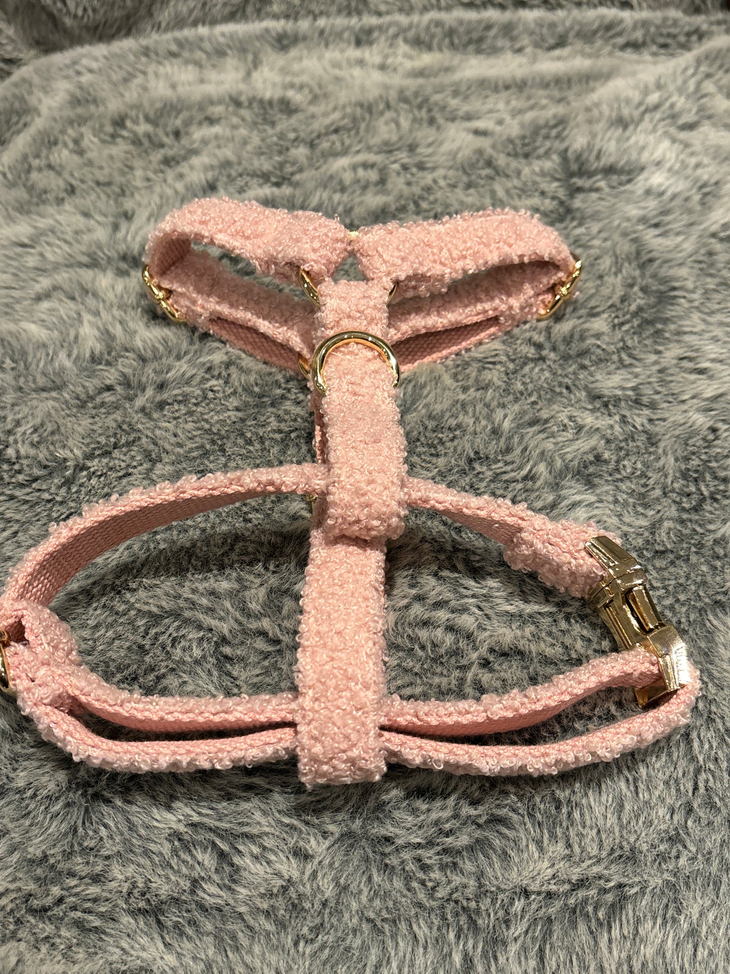 Teddy Harness