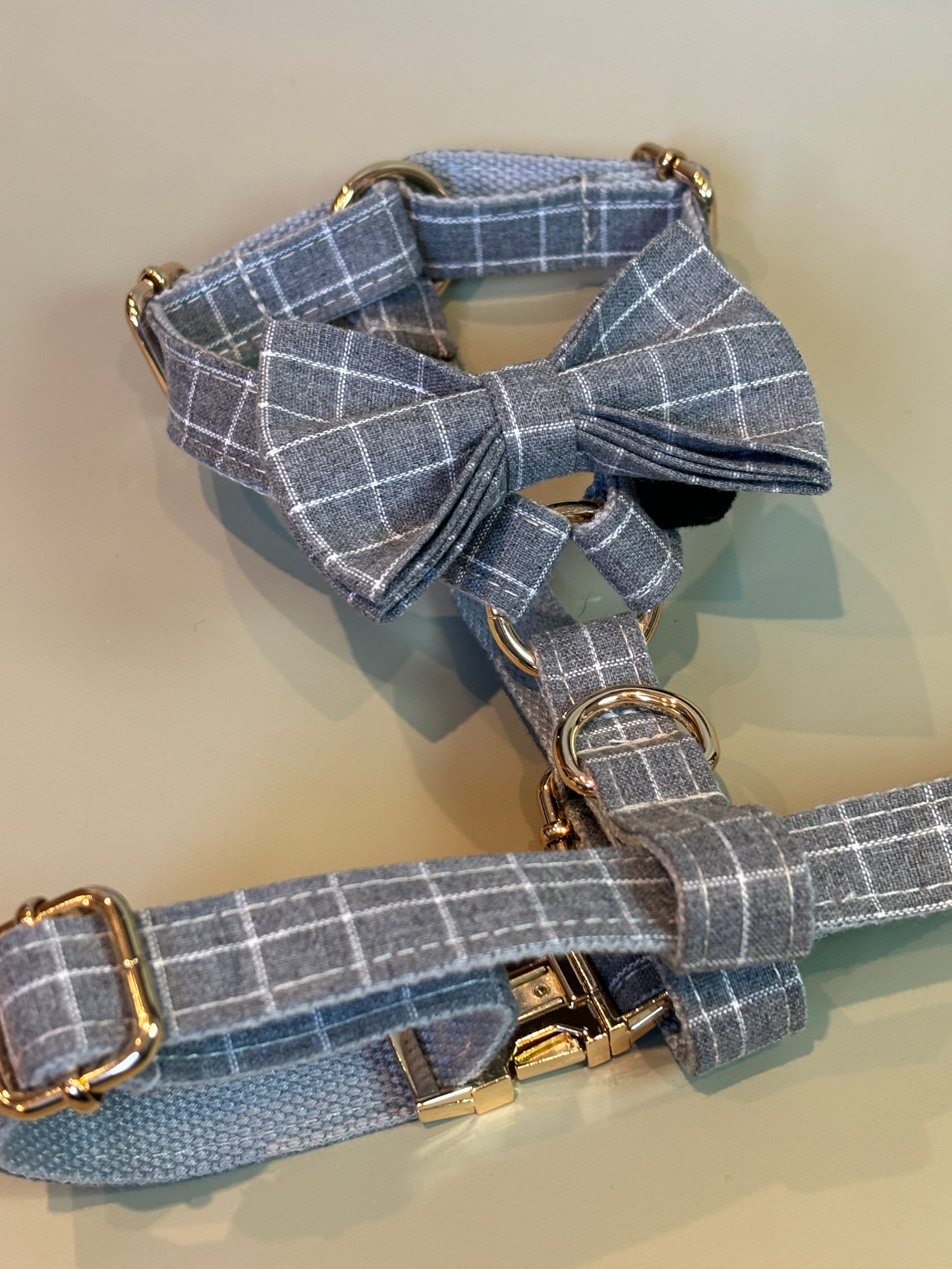 Chequered Harness