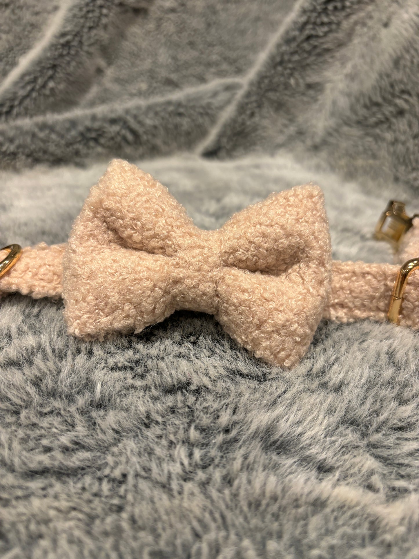 Teddy Bow Tie