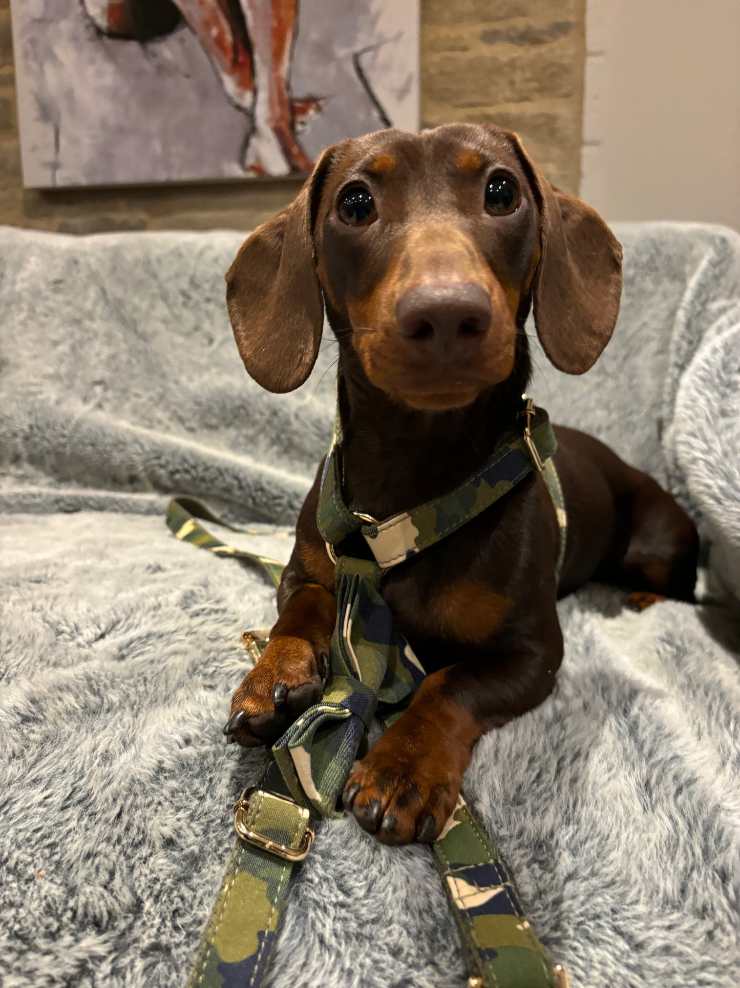 Camouflage Harness