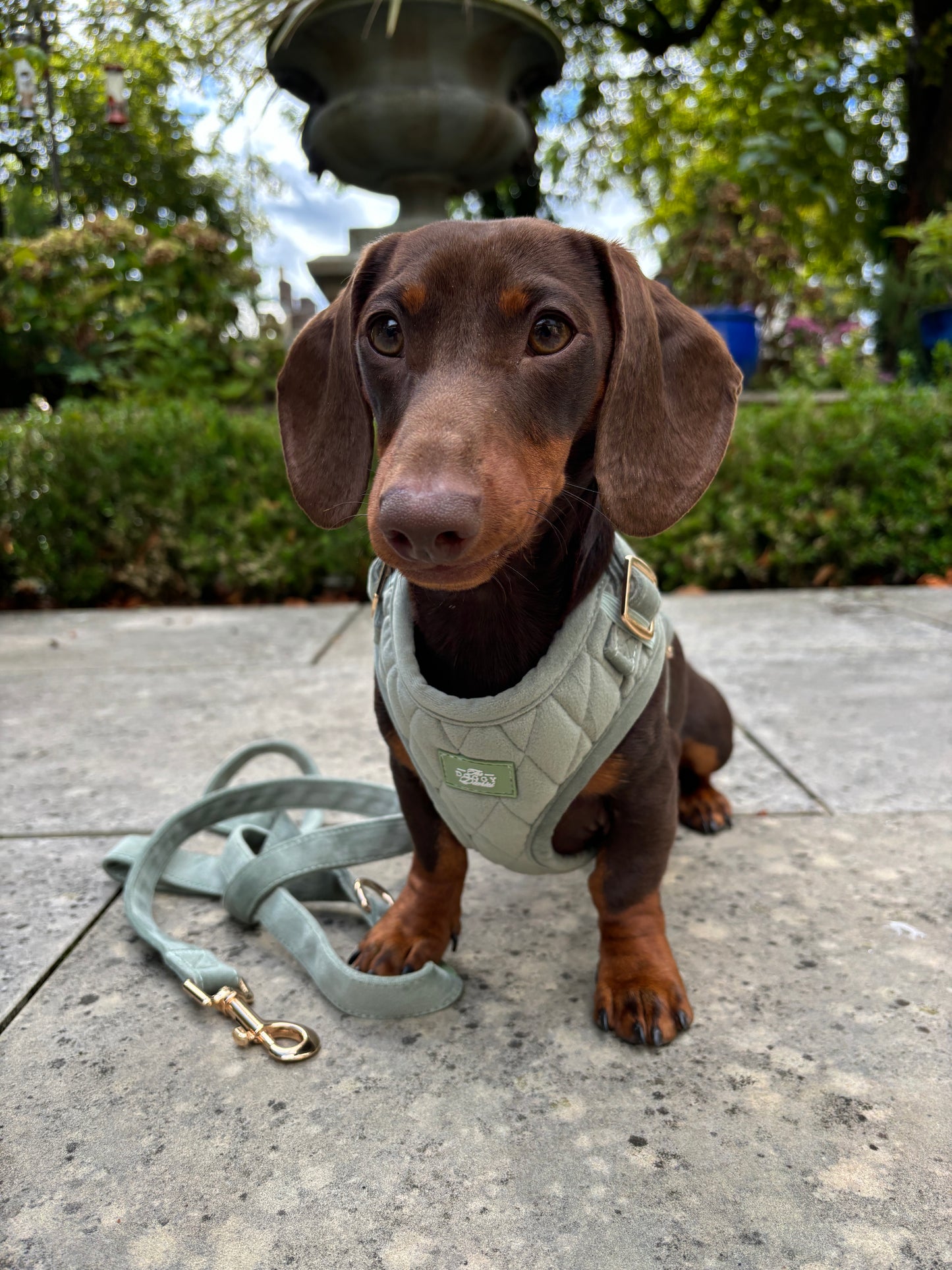 Quilted Velvet Harness