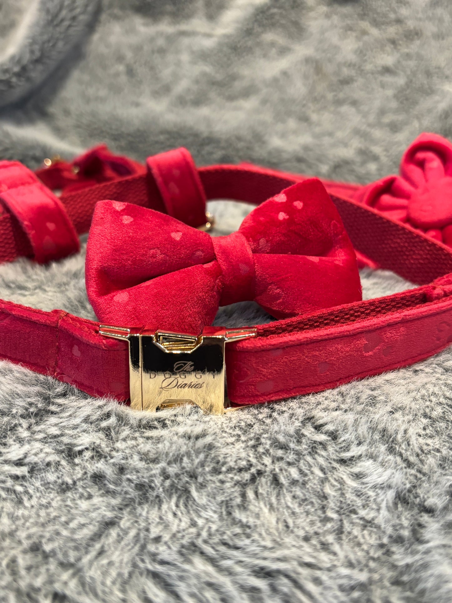 Hearts Velvet Harness