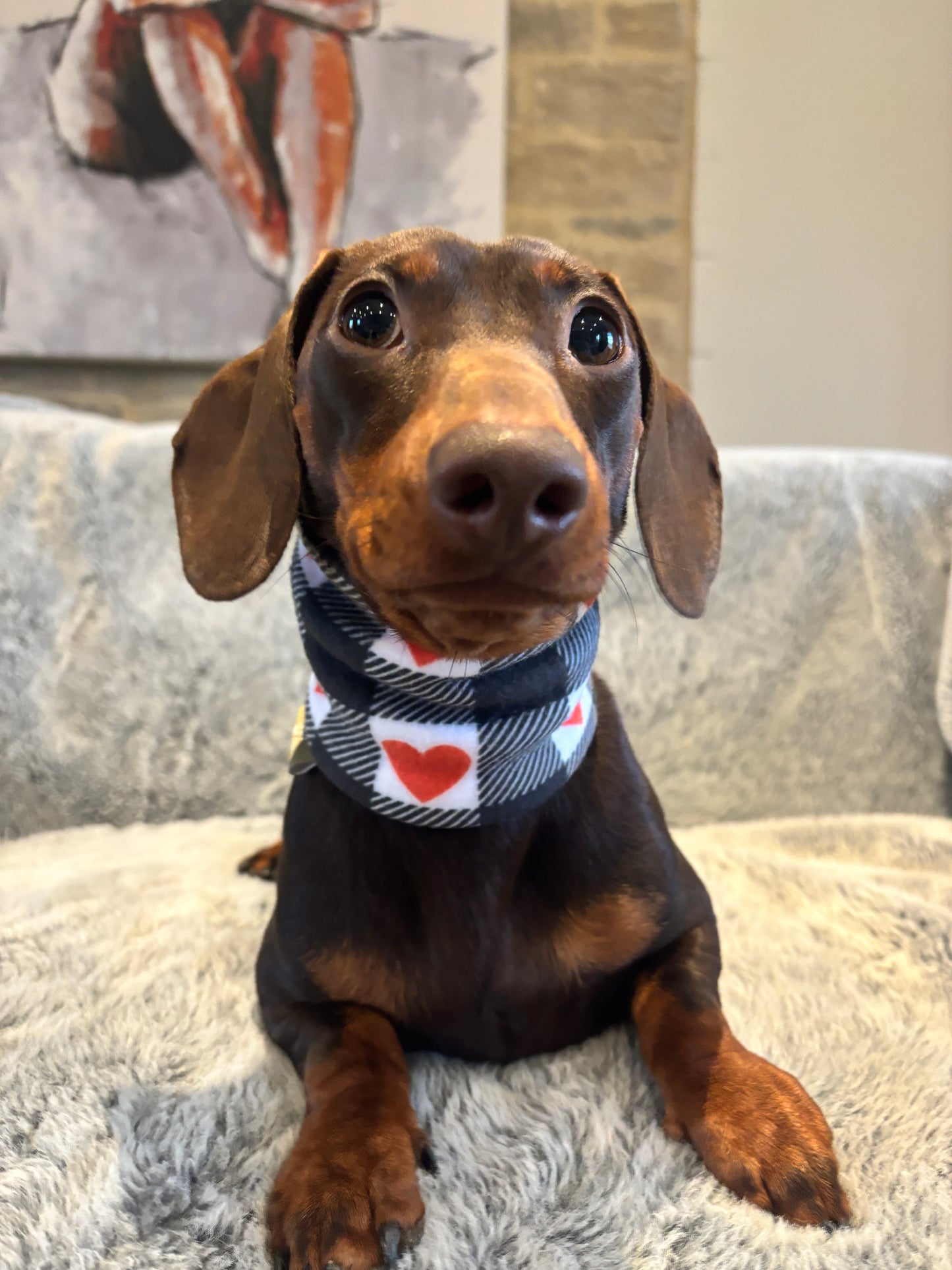 Gingham Hearts Fleece Snood