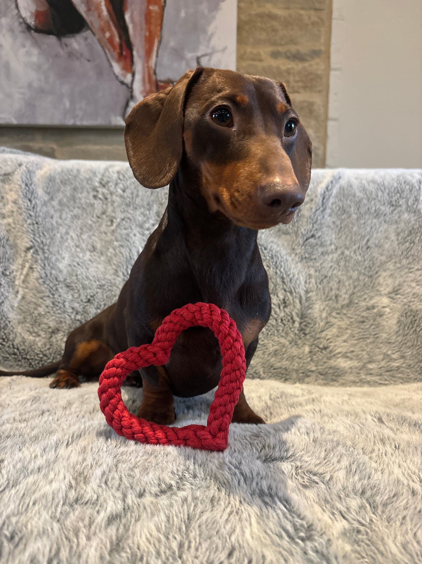 Heart Rope Toy