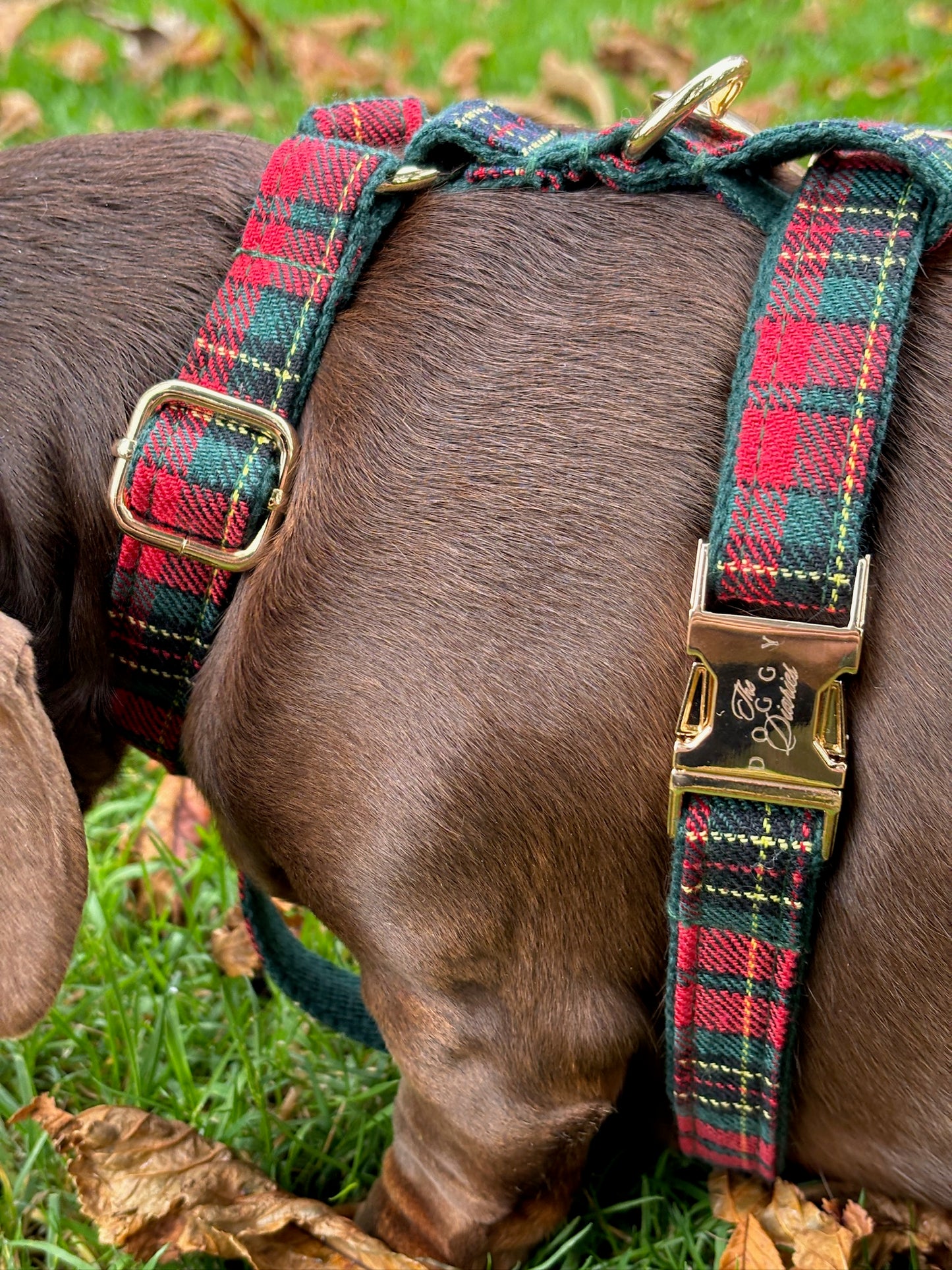 Tartan Harness