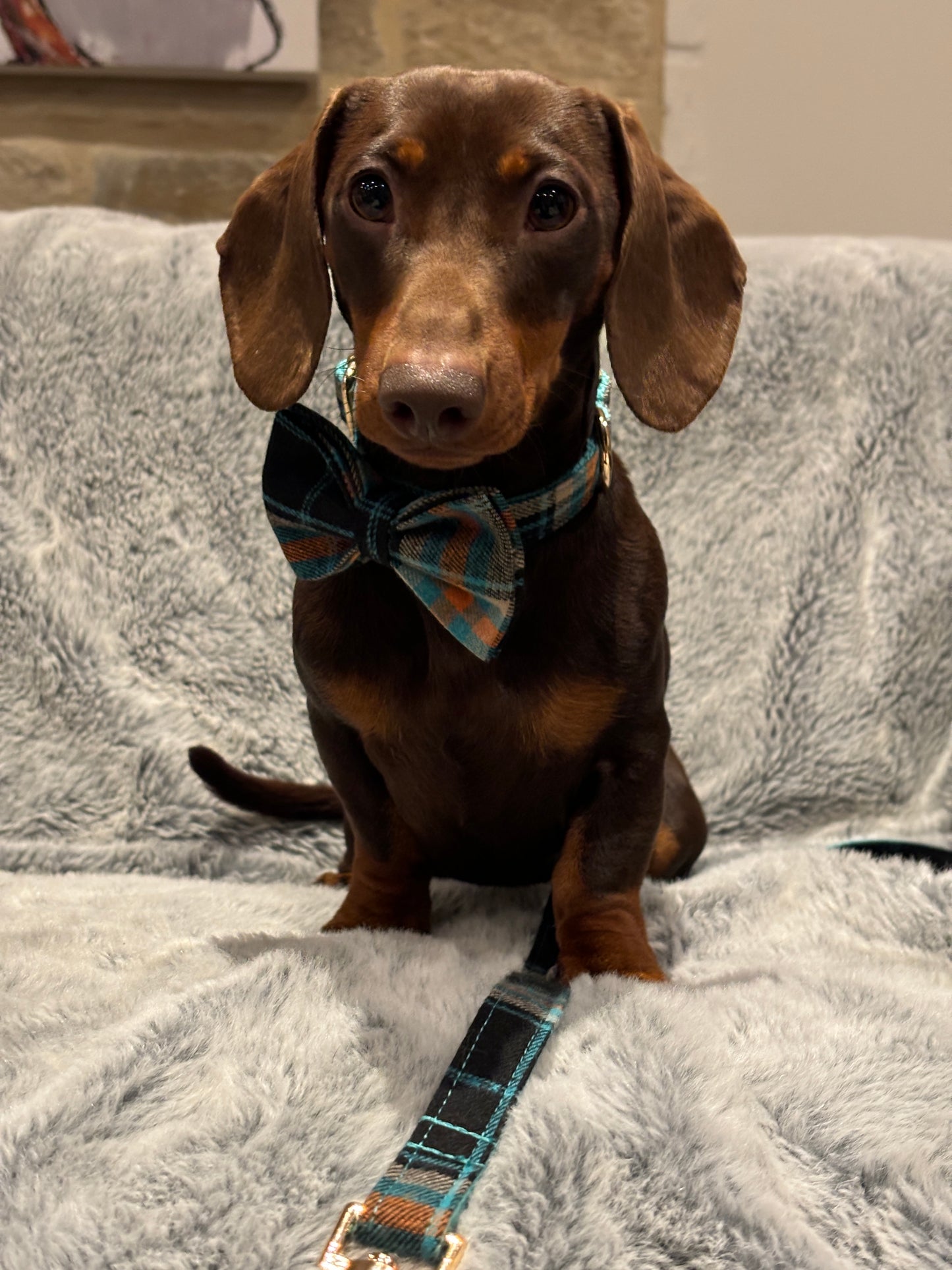 Plaid Bow Tie