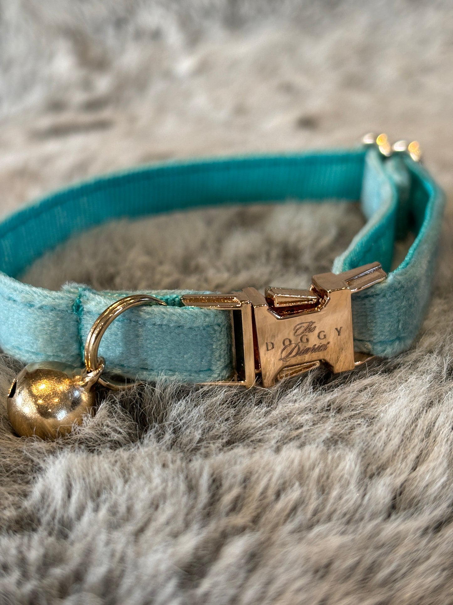 Puppy Velvet Collar